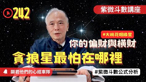 桃花一朵姻緣星兩顆